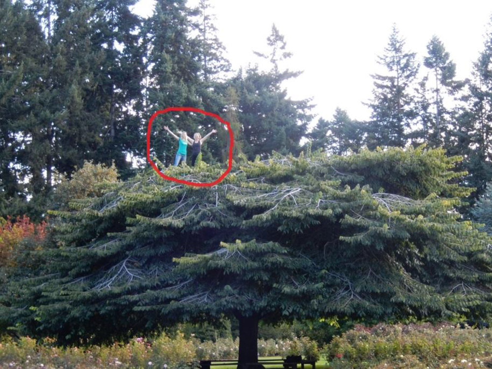 Hory na Novém Zélandu