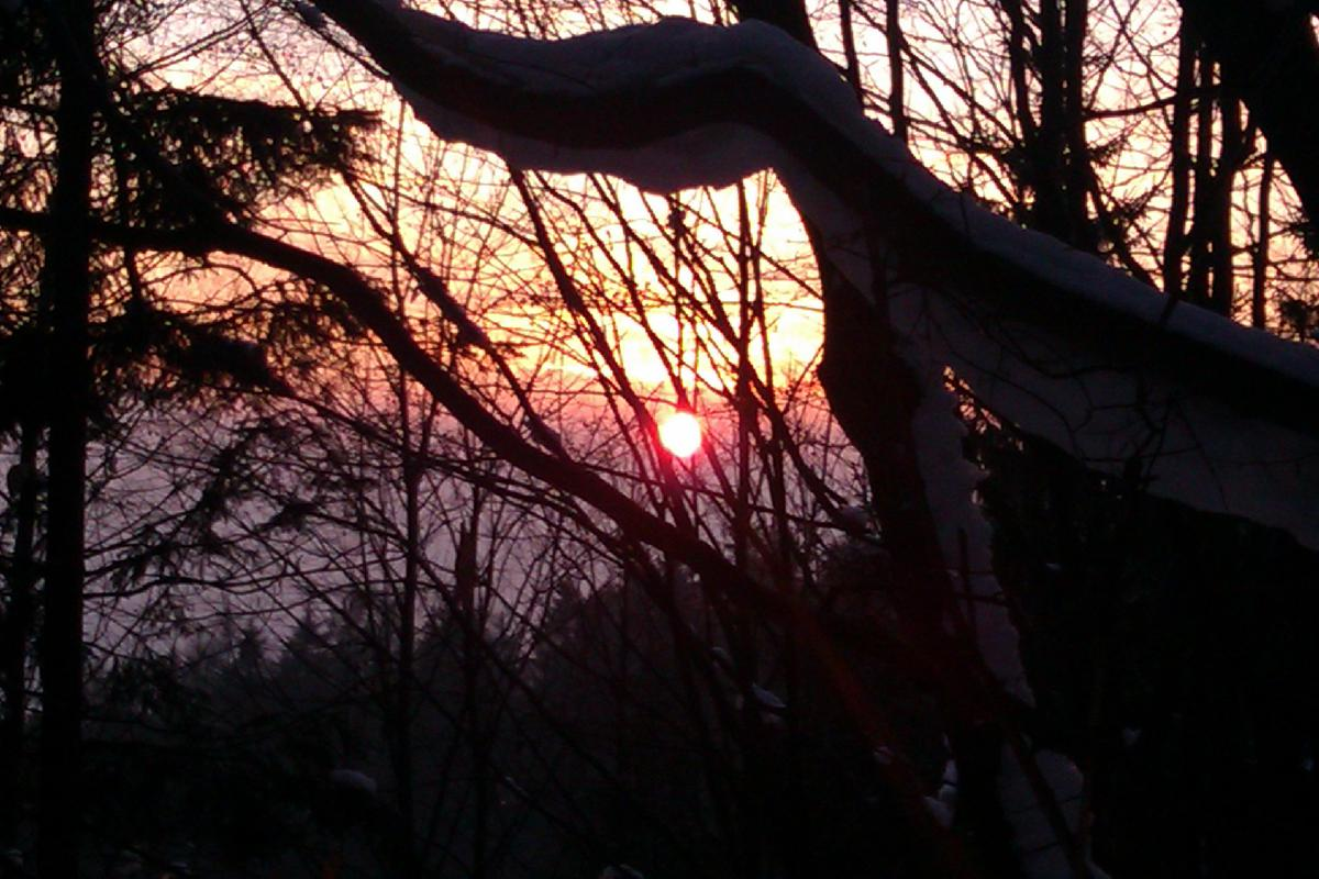 Sneznice 8.2.2010